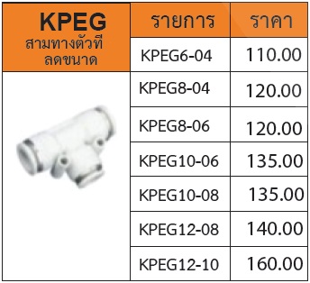 ข้อต่อฝาสีขาว รุ่น KPEG สามทางตัวทีลดขนาด