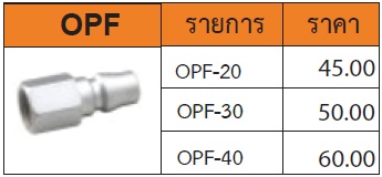 ข้อต่อคอปเปอร์ เกลียวใน