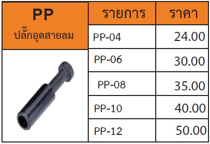 ปลั๊กอุดสายลม รุ่น PP