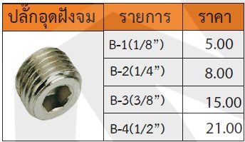 ปลั๊กอุดฝังจม รุ่น B1