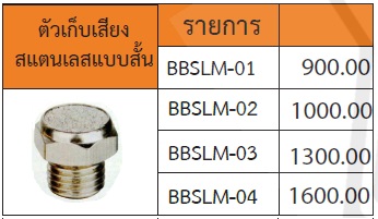 ตัวเก็บเสียงสแตนเลสแบบสั้น รุ่น BBSLM