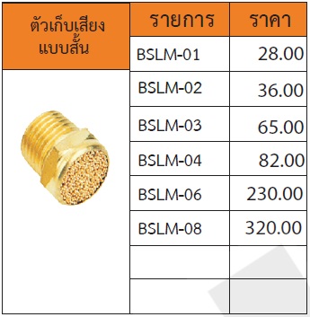 ตัวเก็บเสียงแบบสั้น รุ่น BSLM