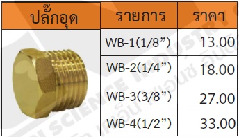 ปลั๊กอุด รุ่น WB