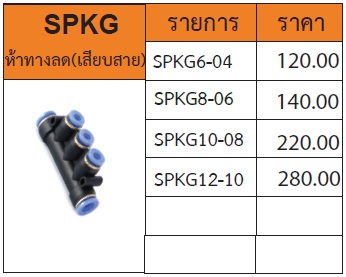 ข้อต่อ 5 ทางลด (เสียบสาย) รุ่น SPKG